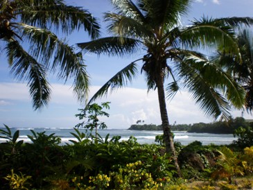 This photo of the coastline of the island of Savai'i, Samoa was taken by "Teinesavaii" and is used courtesy of the Creative Commons Attribution ShareAlike 3.0 License. (http://commons.wikimedia.org/wiki/File:Samoa_scenic_coastline_with_palm_trees_foreground_1.JPG)